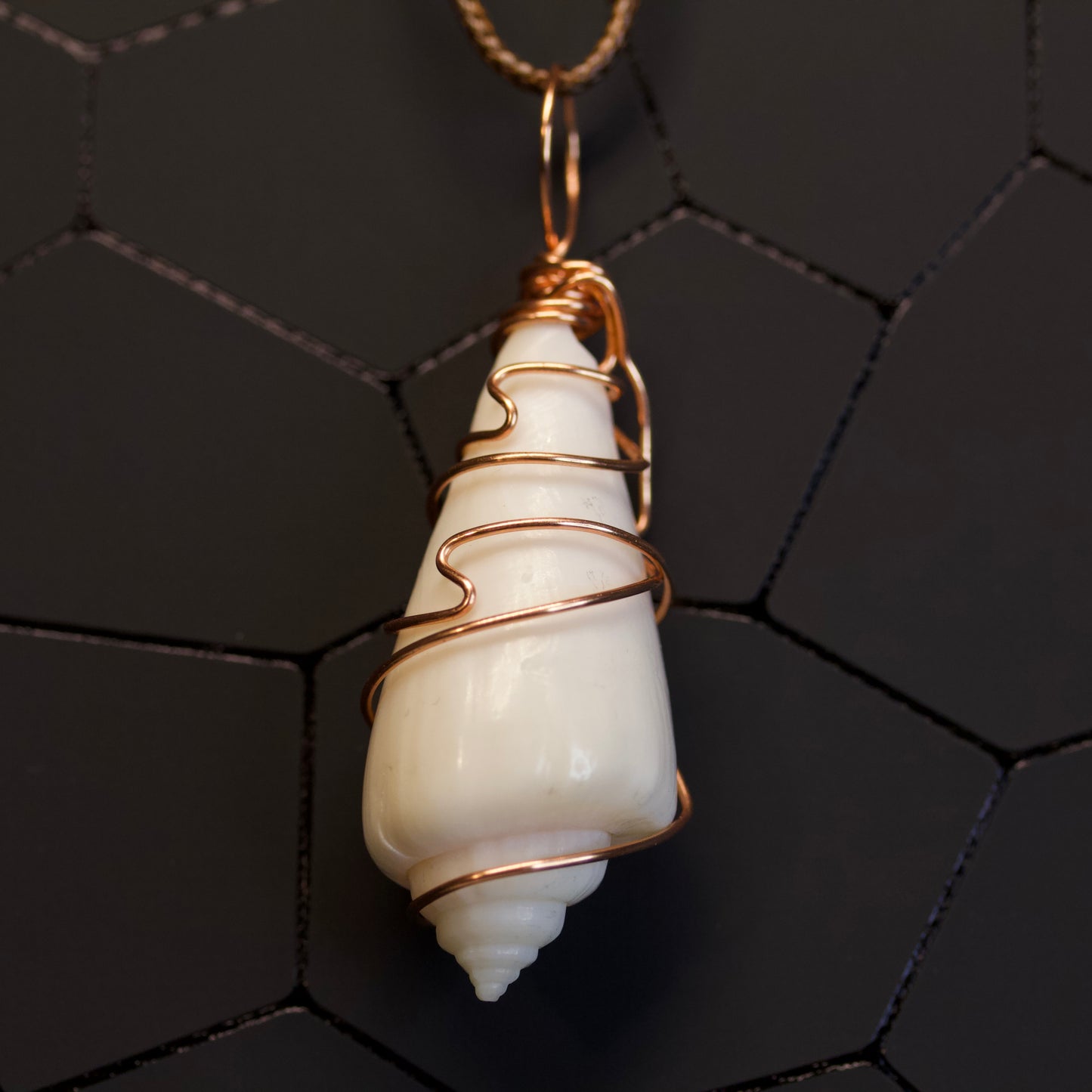 Seashell in Copper Wire